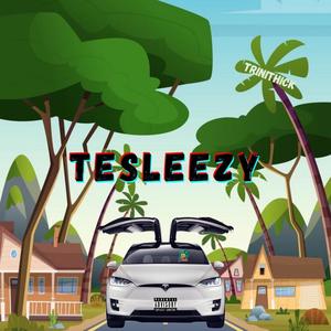 TESLEEZY (Explicit)