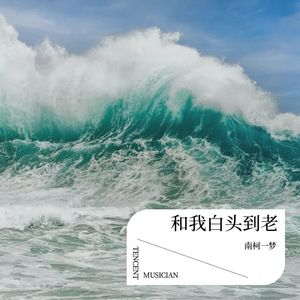 和我白头到老