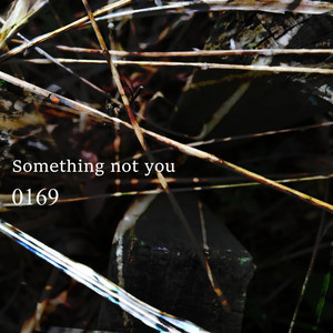 Something not you