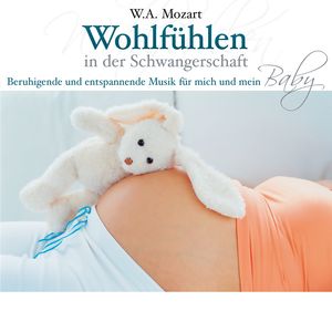 Serenade No. 8 in D Major, K. 286 