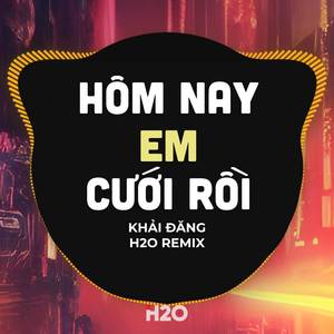 Hôm Nay Em Cưới Rồi (Remix)