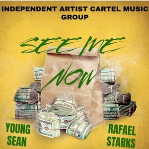 See Me Now(feat. RAFAEL STARK) (Explicit)