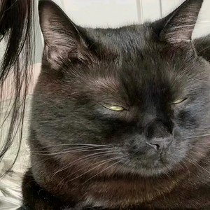 什么叫做爱情-江南仙