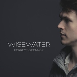 Wisewater