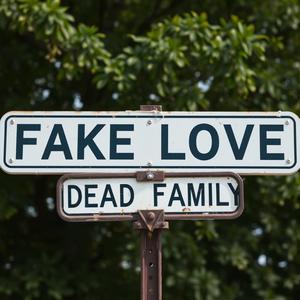 Fake Love (feat. Johnny Mozzo, Jmo2Times & Tha X-Mann) (Explicit)
