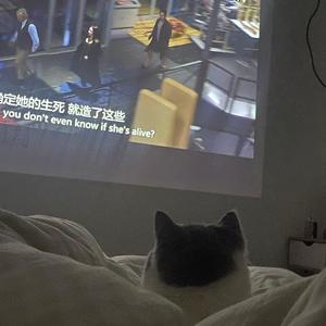 猪猪之歌 (prod.by 百川)