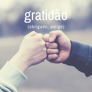 Gratidão(Obrigado, Amigo)