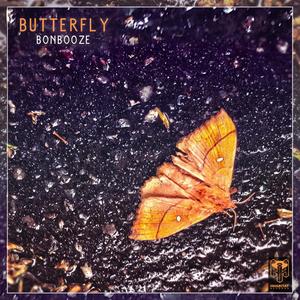 Butterfly B (Explicit)