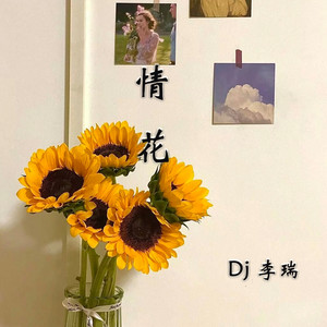 让我做你的眼睛