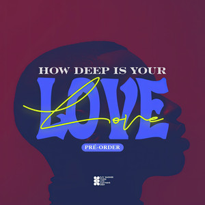 How Deep Is Your Love (Remix)