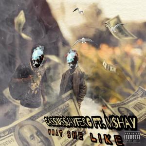 What She Likes (feat. Mshay) (Explicit)