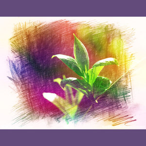 江南&新地旅程 (Demo)