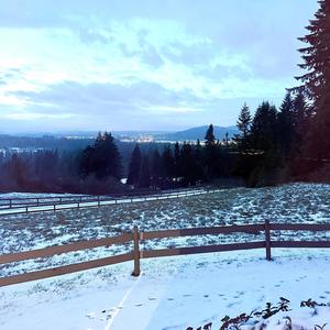 snuff me out (feat. dylan smith)