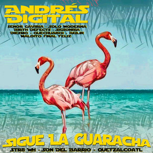 Sigue La Guaracha - the Art of Remix