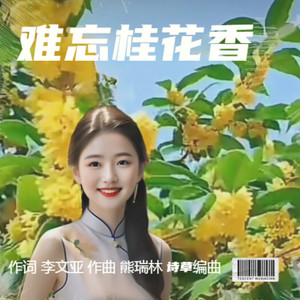 难忘桂花香