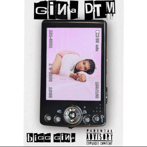 Gina DTM (Explicit)