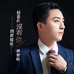 枯萎在没有你的世界里