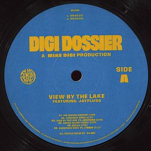 View By The Lake (feat. JayPluss) (Explicit)