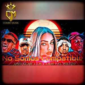 No Somos Compatible (feat. Los 2 Locos & Amenazage)