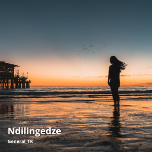 Ndilingedze