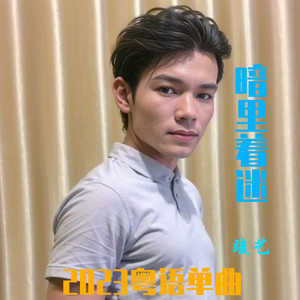 俊艺 - 暗里着迷