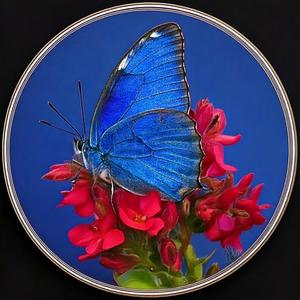 Frito lays (Explicit)