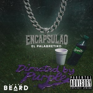 Encapsulao (Explicit)