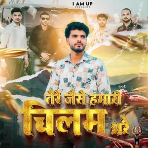 Tere Jaise Chilam Bhare