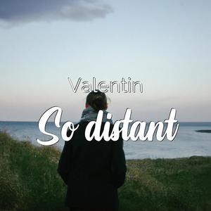 VALENTIN - Accurate memory
