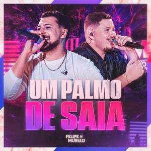 Um Palmo de Saia (Ao Vivo)