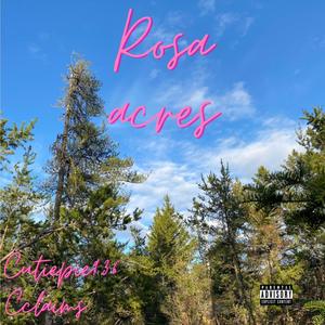 Rosa acres (feat. Cclaims) (Explicit)