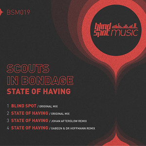 State of Having (Gabeen & Dr Hoffmann Remix)