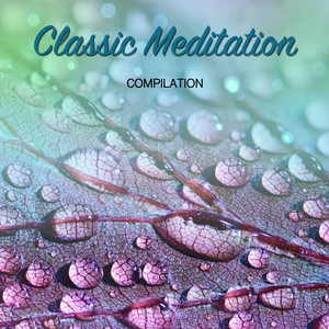Tranquil Binaural Sounds