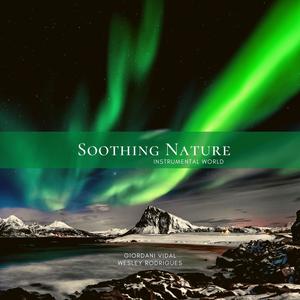 Soothing Nature - Instrumental World. Vol. 9