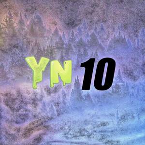 YN10