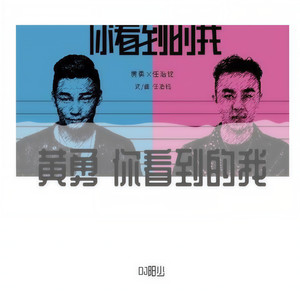 你看到的我 (DJ阳少ReMix版)封面