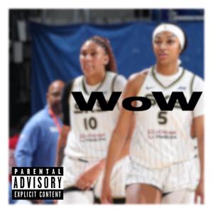 Wow (feat. DJ Chub) [Remix] [Explicit]