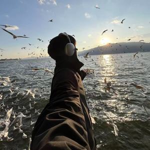 我要稳稳的幸福