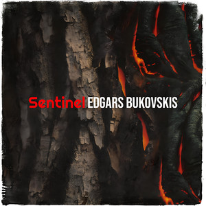 Sentinel (Speed up)