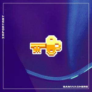 important(feat. Swaezi) (Explicit)