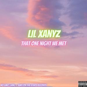 That One Night We Met (Explicit)