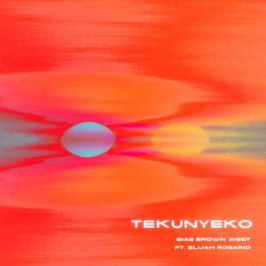 Tekunyeko(feat. Elijah Rosario)