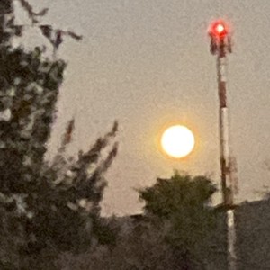 SI LA CALLE NOS VIERA JUNTOS