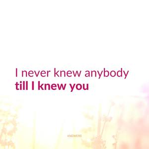 I Never Knew Anybody till I Knew You