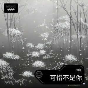 可惜不是你
