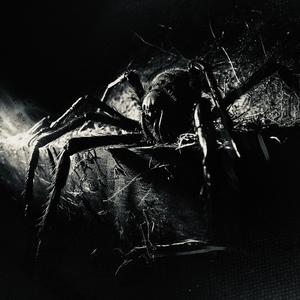 DEVOUR MY DEMONS (REMIX|Explicit)