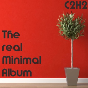 The real Minimal Album