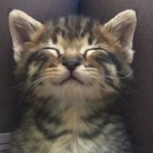 whats the deal (Explicit)