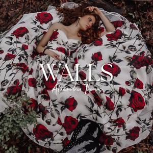 WALLS (Explicit)