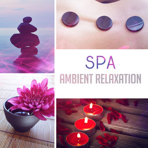 Spa: Ambient Relaxation – 50 Music for Wellness, Relax & Stress Reduction, Natural Aid for Insomnia, Healing Zone